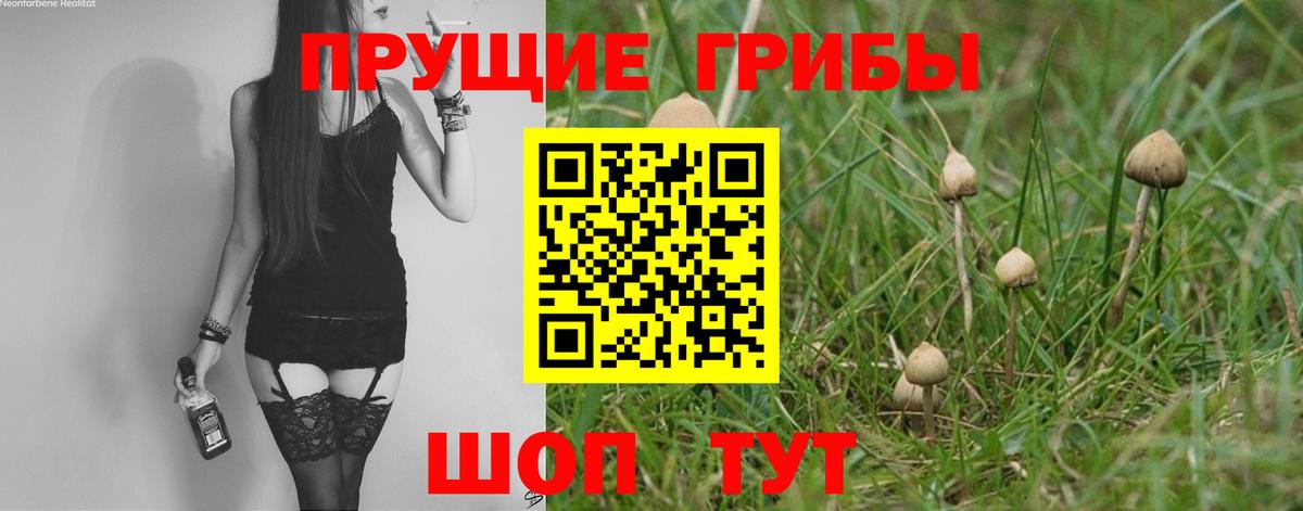 Соль-Илецк  Галлюциногенные грибы мицелий  Псилоцибиновые грибы ЛСД  Вход с VPN 